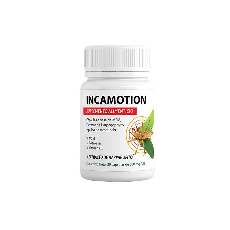 IncaMotion